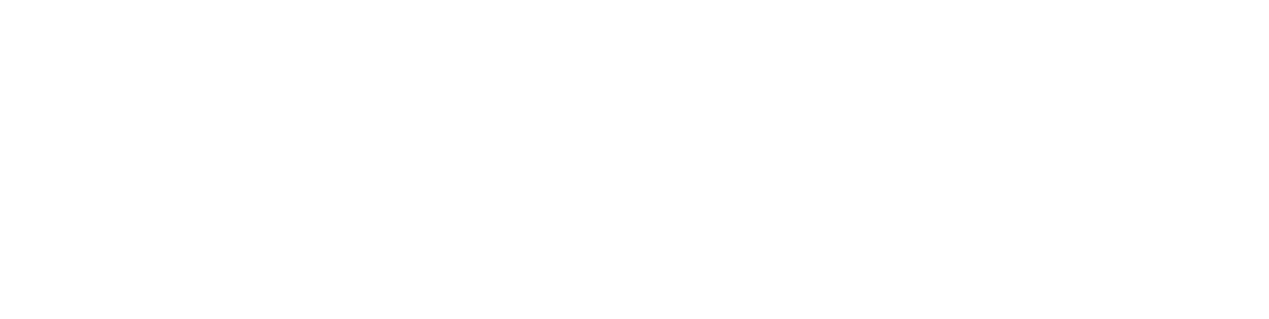 Dataphoria Logo
